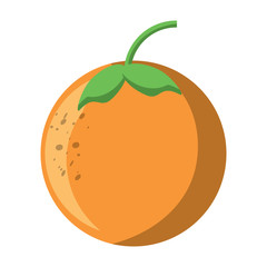 orange fruit icon image