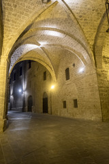Fototapeta premium Rieti (Italy), historic buildings at evening
