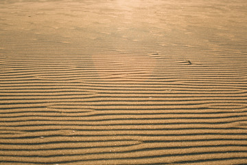 Fototapeta na wymiar duna de monsul, almeria