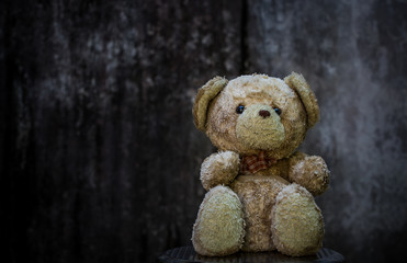 Teddy bear with gray background.