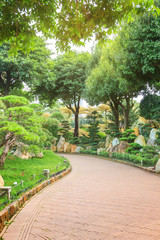 Pathway in public park, surrounded by green trees