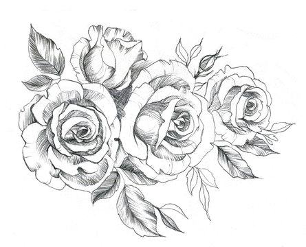 Hand drawn line art roses in graphic style. Feminine tattoo sketch, spring floral blooming, black and white illustration.