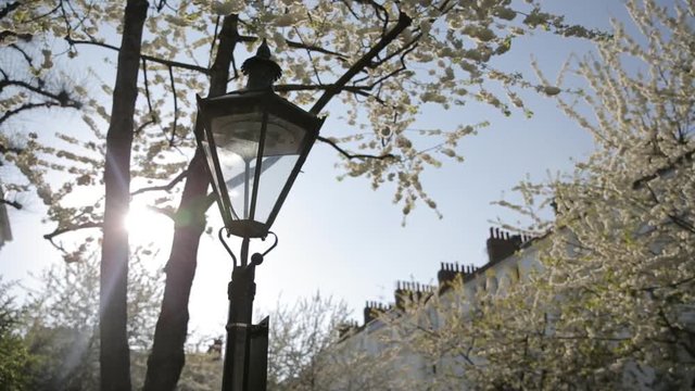 Street lam detail in Kensington, affluent prime residential are in capital city London captured during Spring. Lamp is a traditional lantern shape