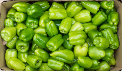 Obraz na płótnie Canvas Green pepper in the box top view