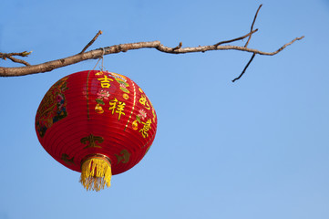 Fototapeta na wymiar Red Chinese lantern - Chinese New Year