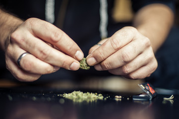 Preparing marijuana cannabis joint. Drugs narcotic concept