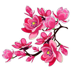 branch magnolia flower red garden decorative.  illustration