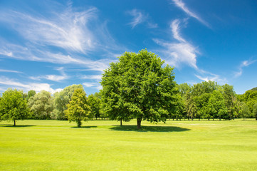 Fototapeta na wymiar Golf course beautiful blue sky green field landscape