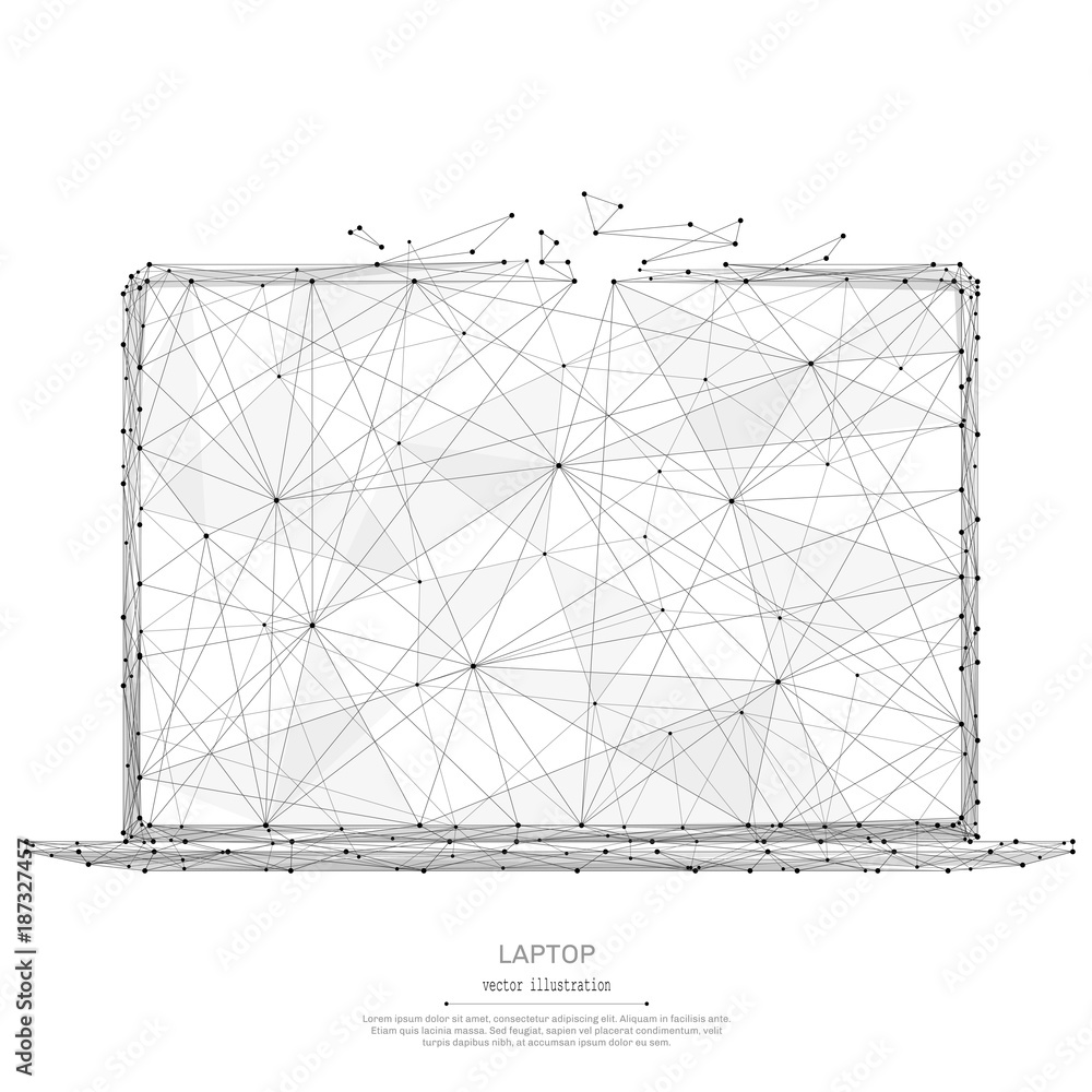 Poster abstract mash line and point laptop origami on white background with an inscription. starry sky or s
