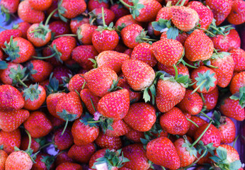 Strawberry in Thailand Market