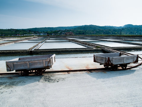 Salt Pans Of Sicciole,Slovenia,Europe