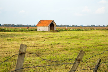 marsh landscape in recke