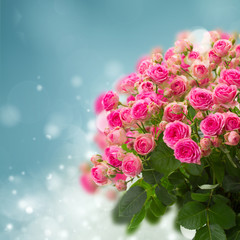 bouquet of pink roses