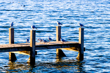 Fototapeta premium starnberg lake - bavaria