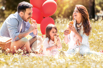 Family with child enjoying picnic in park.