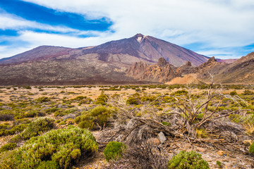 Pico del Teide, Tenerife, Canary Islands, Spain