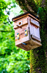 wooden birdhouse