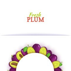 Semicircle colored frame composed of delicious plum fruit. Vector card illustration. Fresh plums half-round white frame for design of food packaging juice, breakfast, cosmetics tea, detox, diet.