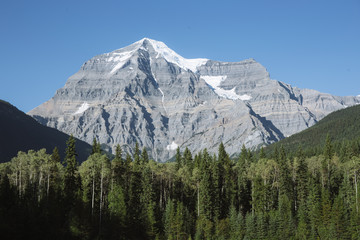 Obraz premium View of Mount Robson in British Columbia. A perfectly clear day shows the snow on top of the mountain. There are lots of tree leading up to the base of the mountain.