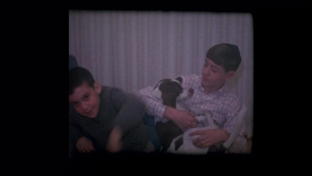 1964 Jewish boys and their pet dog