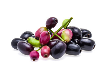 Jambolan plum or Java plum on white background