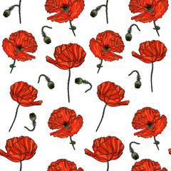 Seamless floral pattern with poppy flowers.
