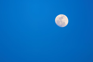 The moon on the blue sky. Evening's shot.