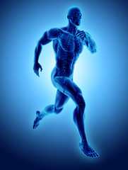 Fototapeta na wymiar 3d illustration male running pose with x-ray skeleton joint, medical concept.