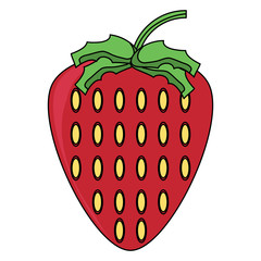 strawberry fruit icon