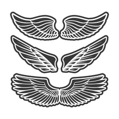 Obraz premium Wings for heraldry, tattoos, logos.