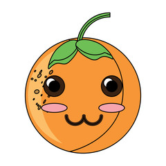 kawaii orange fruit icon