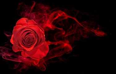Fotobehang roos gewikkeld in rode rookwerveling op zwarte achtergrond © popout