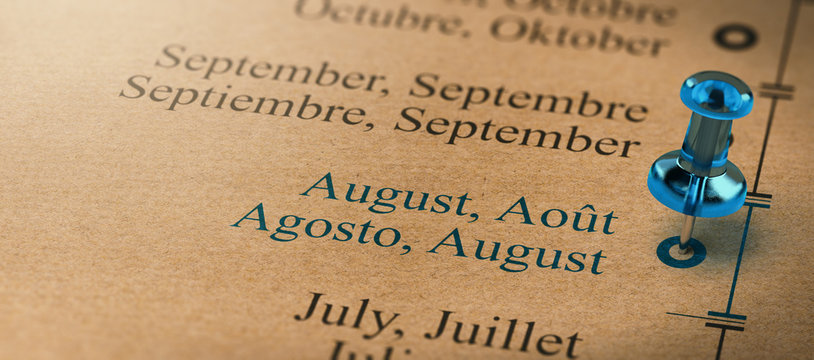 Focus on August, Months of the Year Calendar