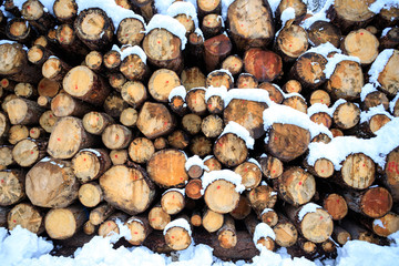 catasta di legna in inverno