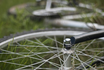 Bicycle lying in the grass