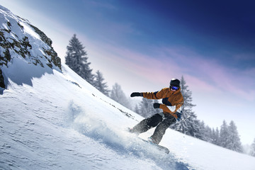 winter skier 