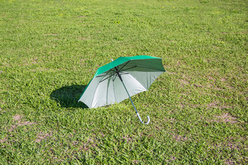 green umbrella on field