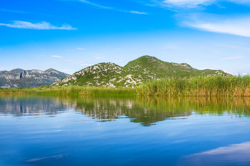 Fototapeta na wymiar Skadar Lake National Park, Montenegro