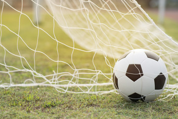 Soccer ball on grass and sun light.