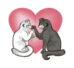 A loving couple of cats