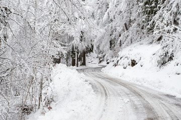 paesaggio invernale in Val Canali, nel parco naturale di Paneveggio - Trentino
