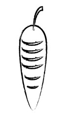 carrot vegetable icon image