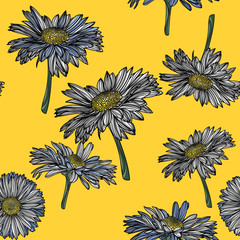 Seamless pattern with chamomile flowers.