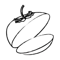 tomato vegetable icon