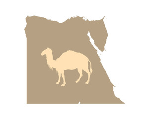 Ägypten und Kamel
