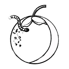 orange fruit icon image