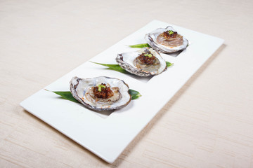 Oysters on the Half Shell