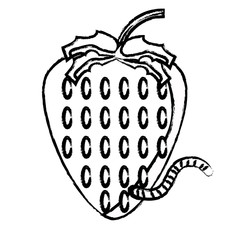 strawberry fruit icon
