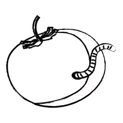 tomato vegetable icon