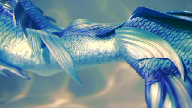 Close-up. In The Water Floats A Slender Girl In A Mermaid Costume. A Woman With A Fish Tail Blue